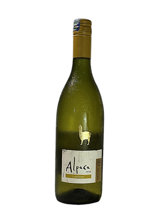 Alpaca Chardonnay bottle, The Cellar by Casa Kibokobay