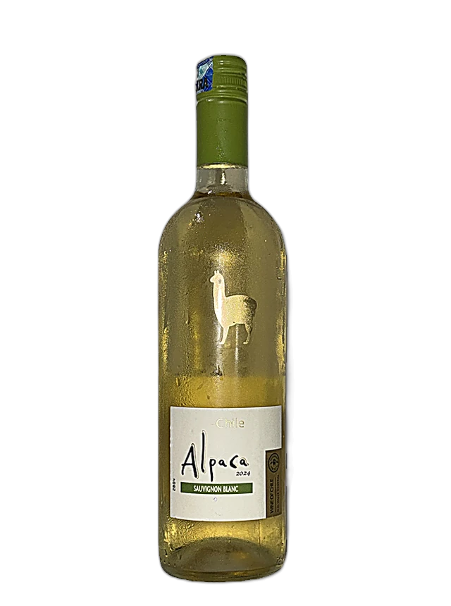Alpaca Sauvignon Blanc bottle, The Cellar by Casa Kibokobay